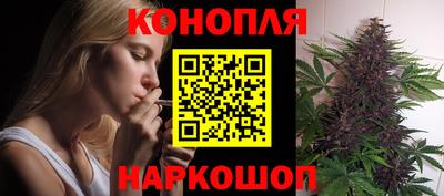 МДПВ Лесосибирск