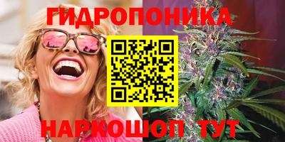 МДПВ Лесосибирск
